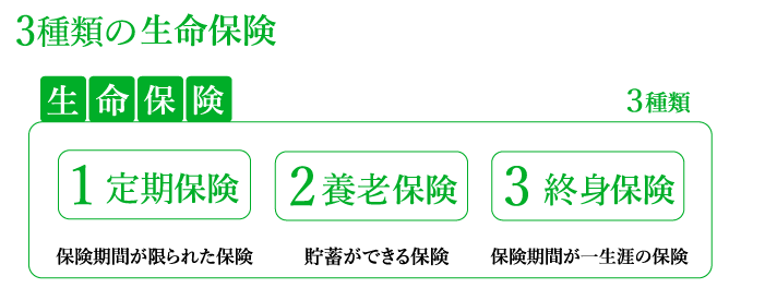 3種類の生命保険
